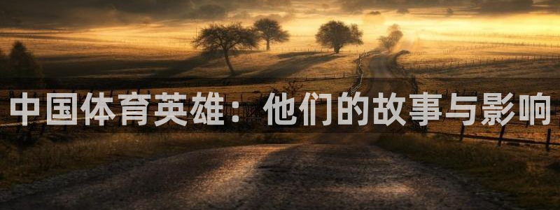 乐球体育官网入口：中国体育英雄：他们的故事与影响