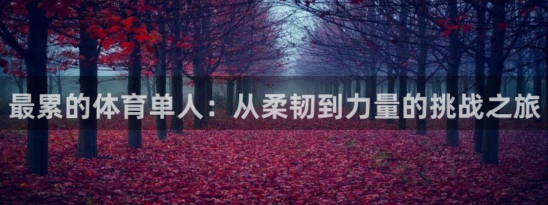 乐球体育直播免费高清：最累的体育单人：从柔韧到力量的挑战之旅