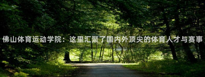 乐球体育火箭对快船录像：佛山体育运动学院：这里汇聚了国内外顶尖的体育人才与赛事