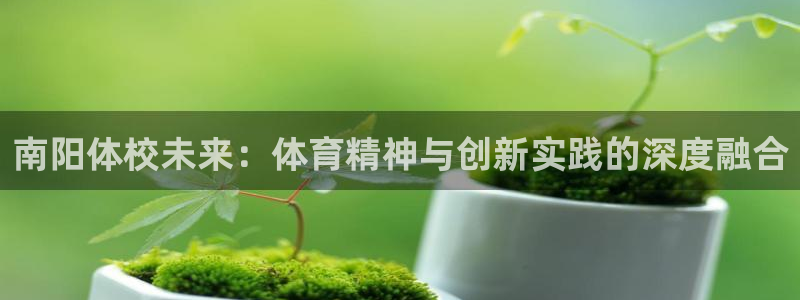 乐球体育在线观看：南阳体校未来：体育精神与创新实践的深度融合
