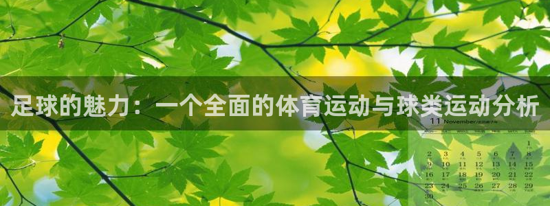 乐球体育直播无插件高清在线观看：足球的魅力：一个全面的体育运动与球类运动分析