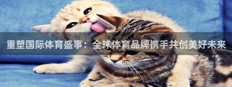 乐球体育火箭对爵士录像：重塑国际体育盛事：全球体育品牌携手共创美好未来